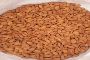 Almond (California) from US